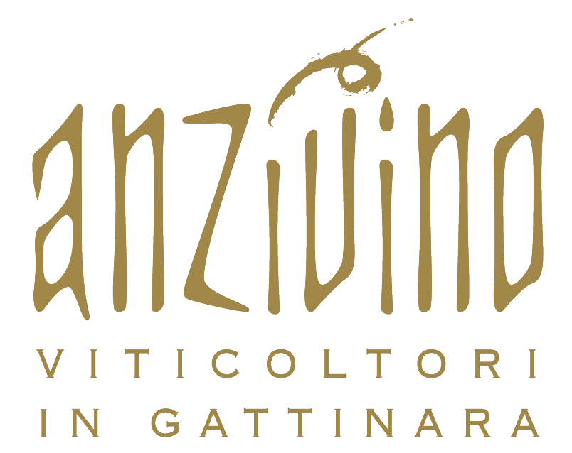 Anzivino