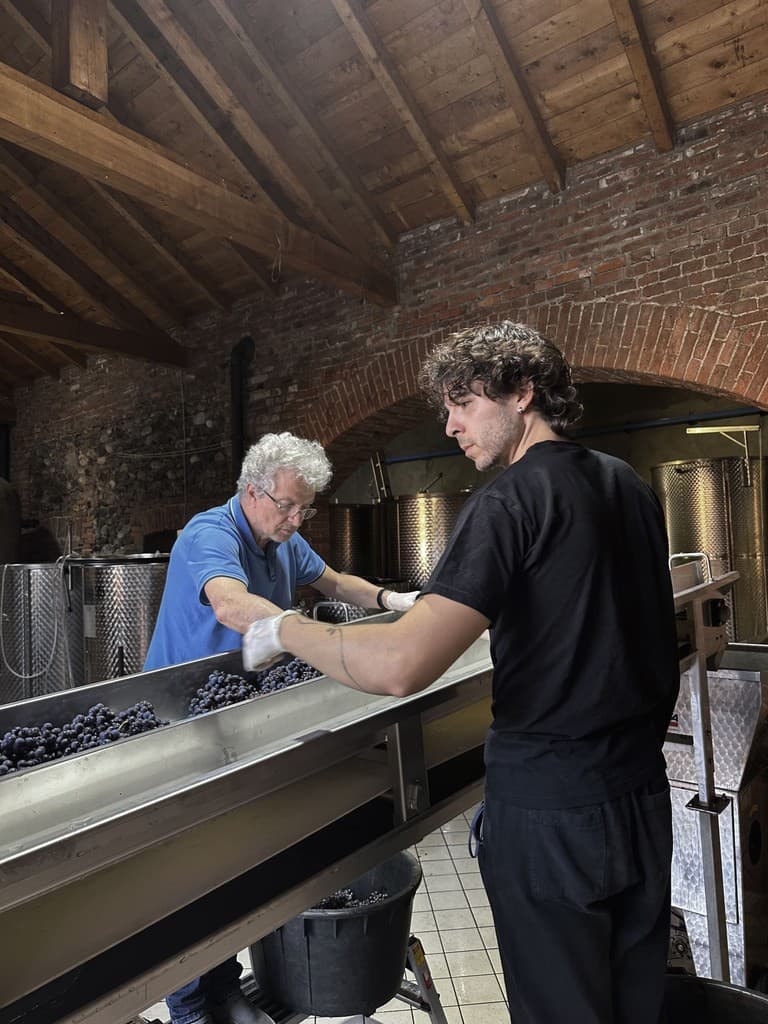 Emanuele e Andrea Anzivino — viticoltori Nebbiolo Gattinara DOCG Alto Piemonte