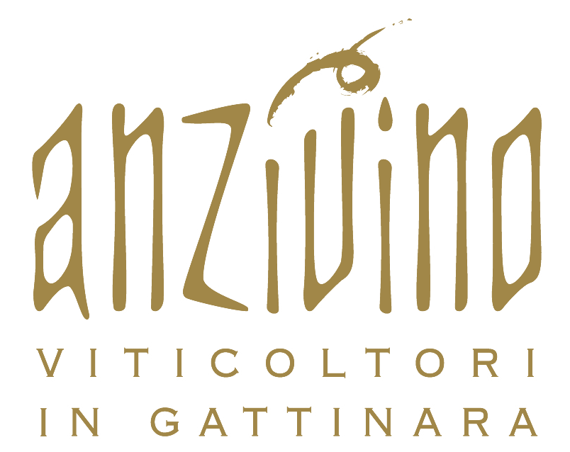 Anzivino